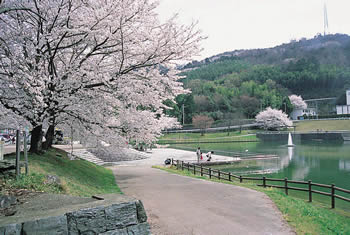 前山公園の画像