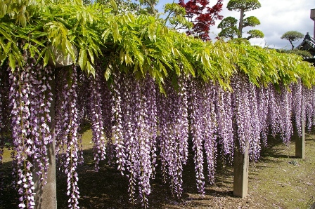 photo1.jpg