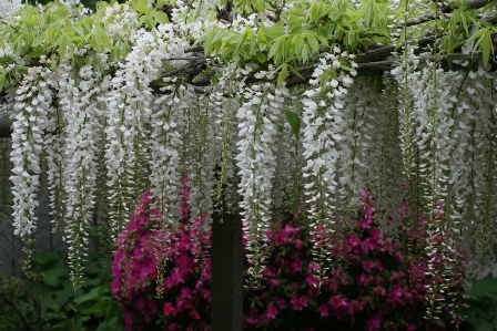 photo2.jpg