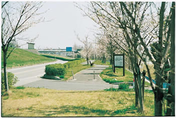 第十桜づつみ公園の画像